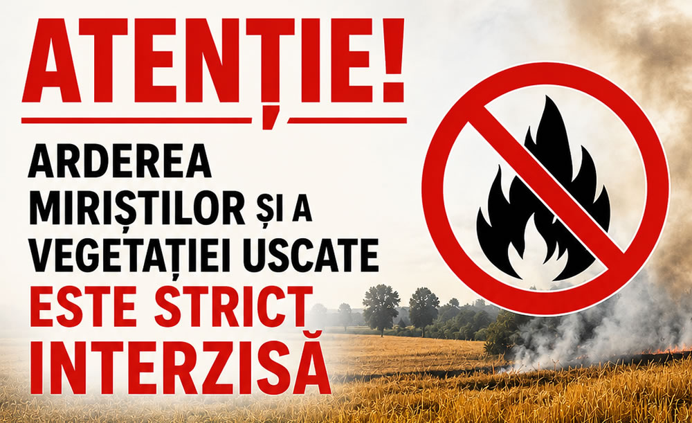 Interzicerea arderii miriștilor, vegetației uscate, stufului, tufărișurilor 2